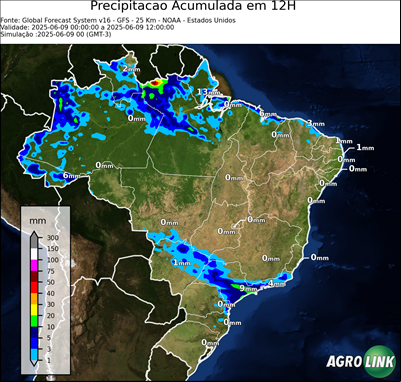12 horas