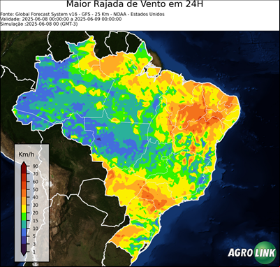 24 horas