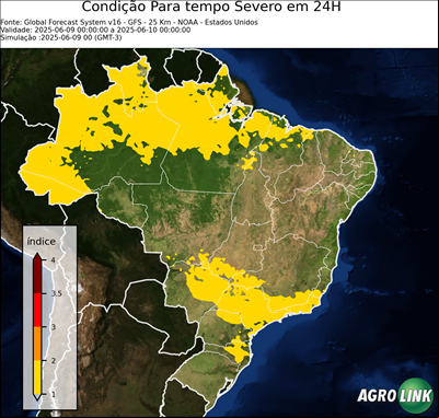 24 horas