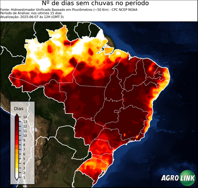 15 dias