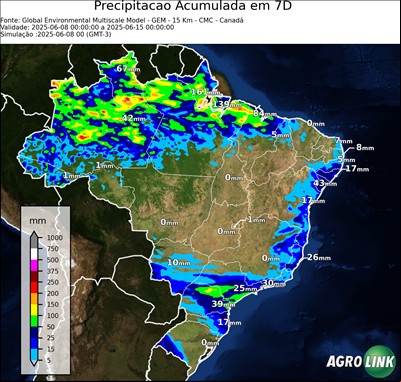 7 dias
