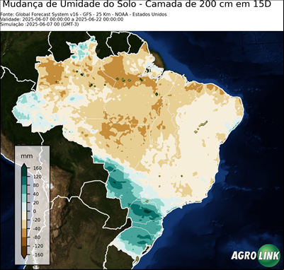 15 dias